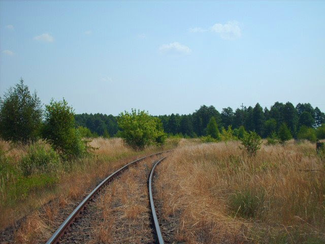 Szlak Łask - Zelów (4)