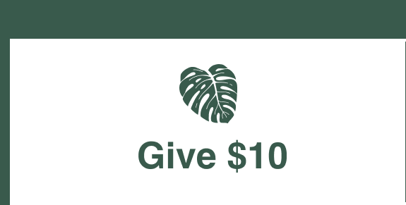 Give 10$