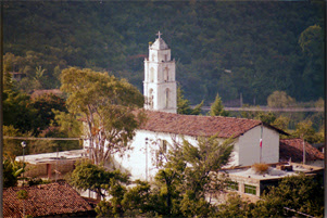 A white church is surrounded by trees. A mountain is in the background.