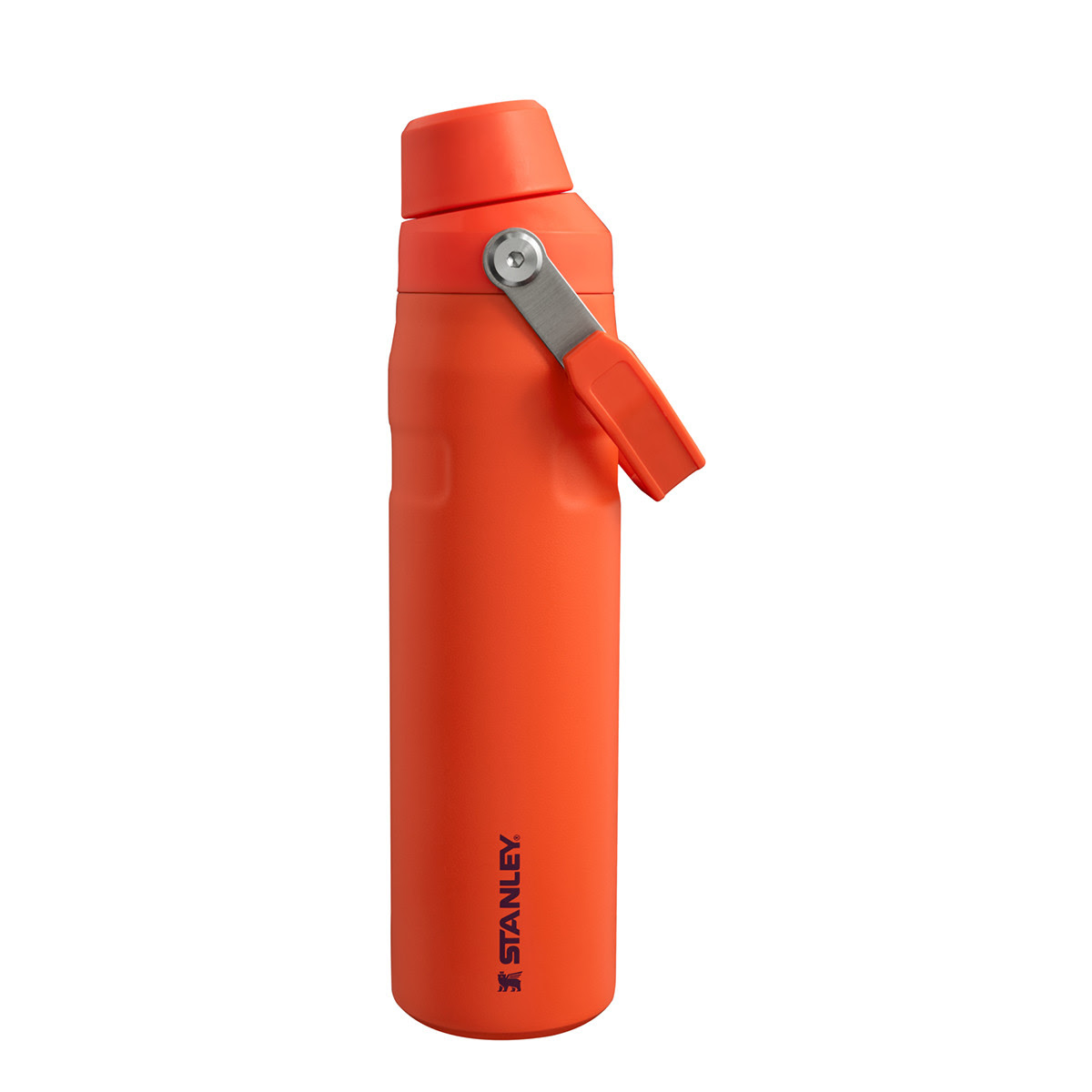 Image of Aerolight IceFlow Bottle Fast Flow I 0.6L Tigerlily Plum 