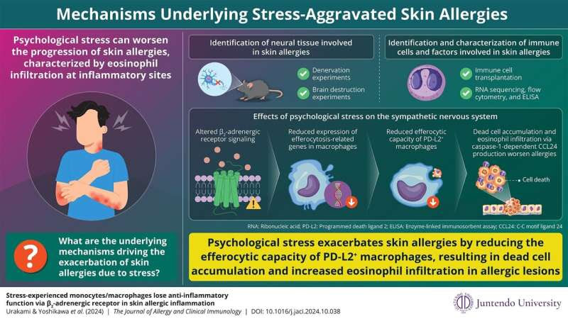 Researchers reveal how psychological stress may aggravate skin allergies