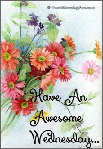 Wednesday-Awesome-flowers