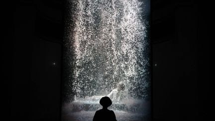 L'Américain Bill Viola, pionnier de l'art vidéo connu pour ses installations monumentales, est mort à 73 ans