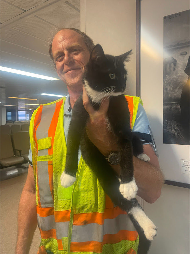 The Kitsap crew rescues a cat in July.