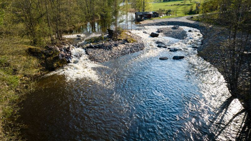 A river flowing through a forest

AI-generated content may be incorrect.
