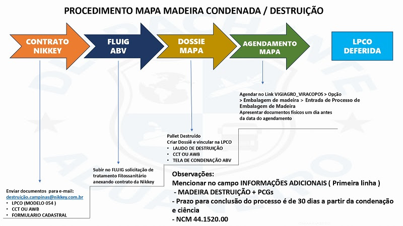 PROCEDIMENTO MAPA MADEIRA CONDENADA_page-0001