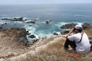 Studying fur seal_sea lions southern California