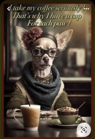 Coffee-Seriously-One-for-each-Paw