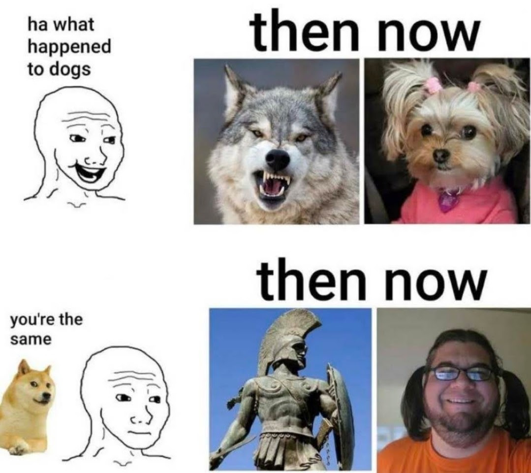 Memes about dogs and men, then and now.