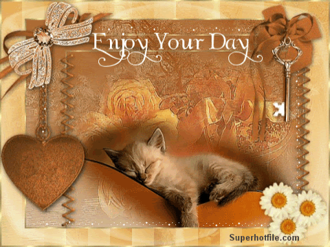 Cat-Enjoy-your-day