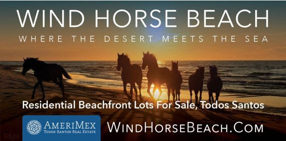Wind Horse Beach, Where The Desert Meets The Sea. Residential Beach Front Lots For Sale, Todos Santos. WindHorseBeach.com 20240607