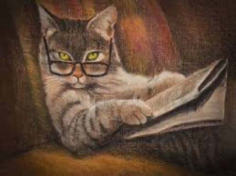 Read-Cat-with-glasses