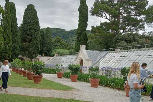 trieste parco di miramare nuova vita per le antiche serre 02