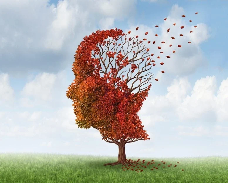 Dementia Declining Brain Cognition