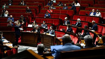 Budget 2025 : les députés votent un amendement en faveur d'un nouvel impôt sur le patrimoine des milliardaires