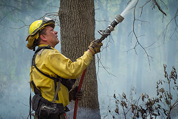 A DNR firefighter uses a hose to put out a hot spot.