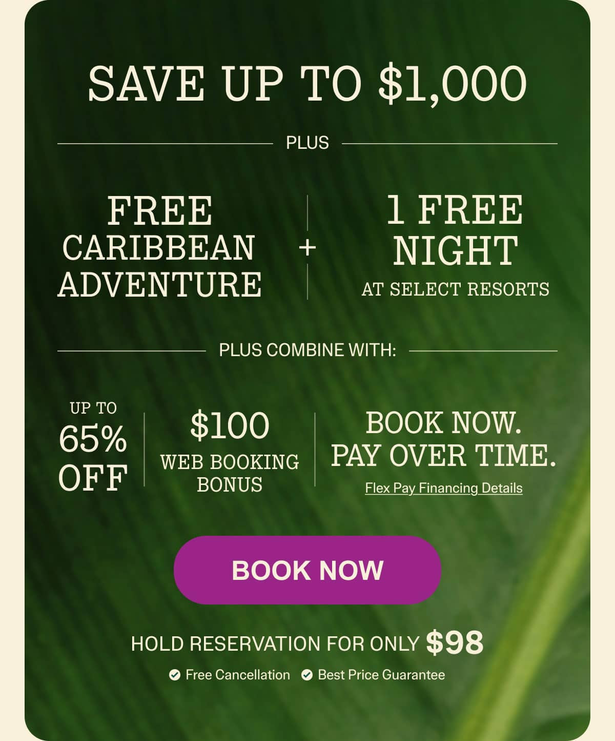 Book Now