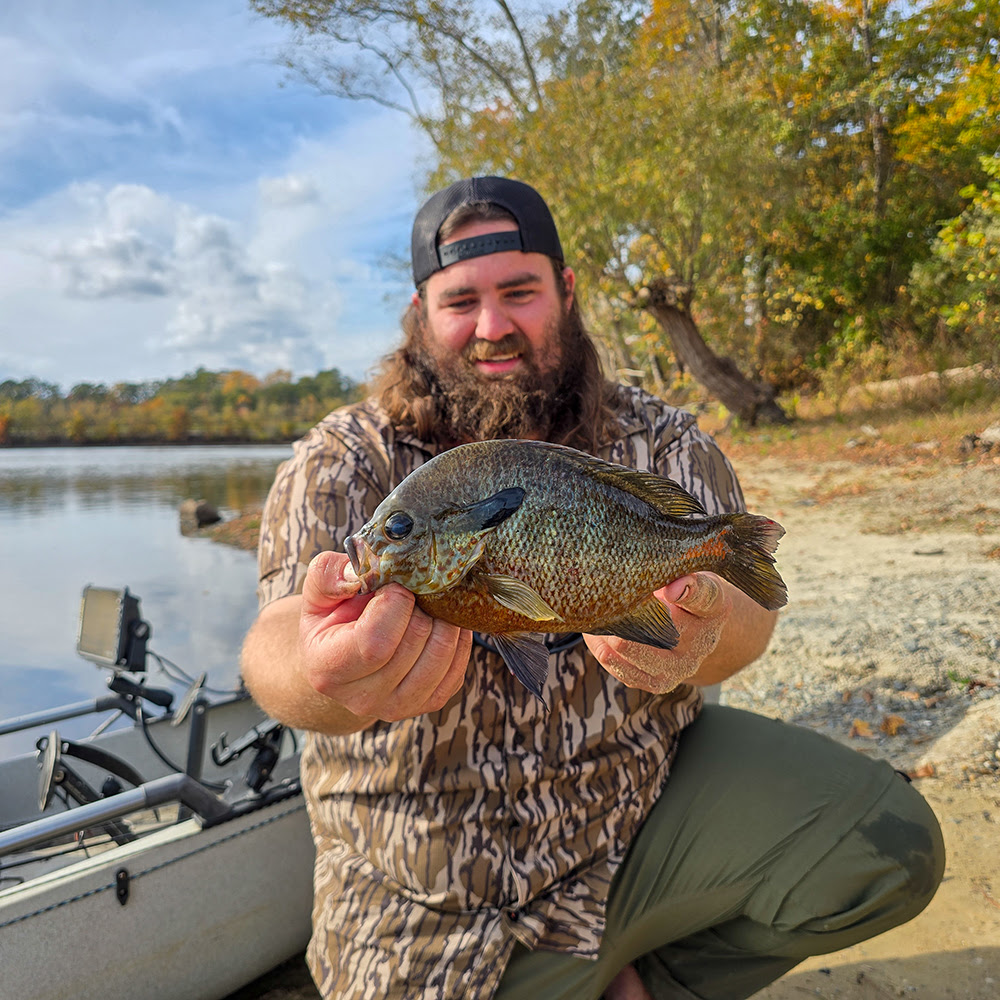 A photo of a man kneeling in front of a kayak on the shore, holding up a large redbreast sunfish and smiling.