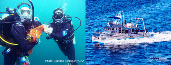 two scuba divers holding arms and an aerial picture of the research vessel Gannet