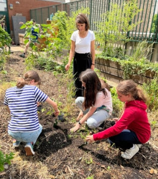 Pour un avenir plus vert : potagers pédagogiques