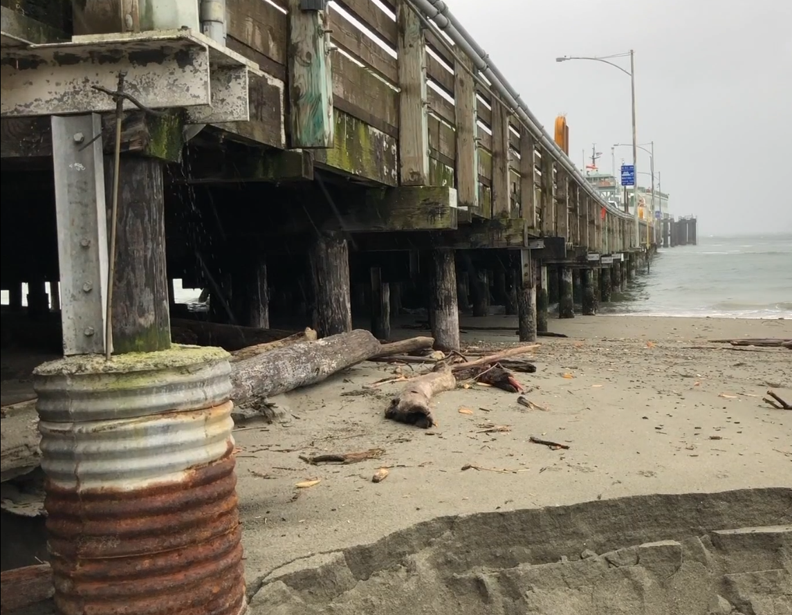 View of the underside of the Fauntleroy terminal dock and beach