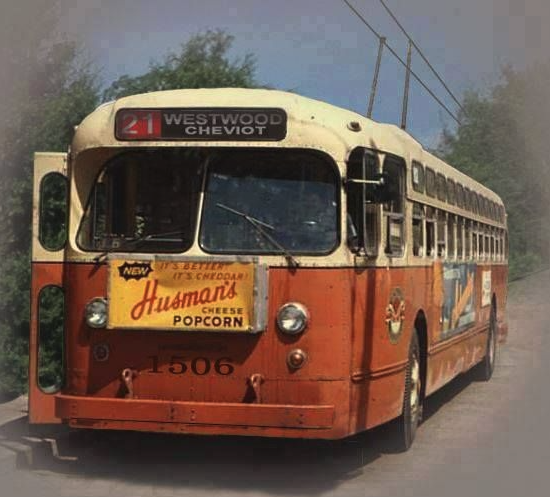 cincinnati #21 bus