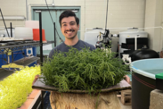 Mike Acquafredda holding a tray of sea beans. Credit: NOAA Fisheries/Mike Acquafredda