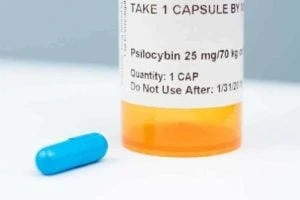 psilocybin