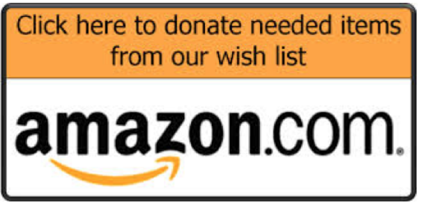 Donate from Amazon button