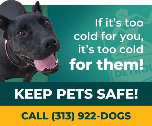 Keep Pets out of cold graphic
