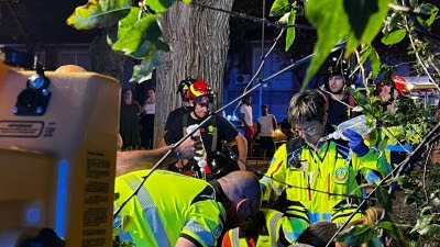  En estado crítico el joven al que anoche le cayó una rama de un árbol en Carabanchel