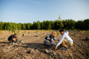 Three students in Delaware plant trees on a flat, tilled land with a treeline in the background