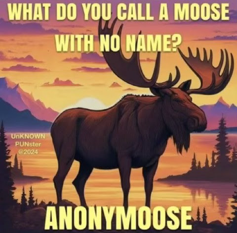 Joke-Moose