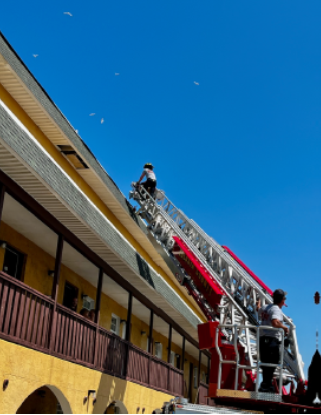 Fire Station crew returning chick