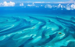 Bahamas, US: Diving with sharks