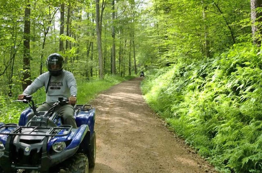 A person rides aa four wheeler on a dirt road through a green forest. Another rider is in the distance.