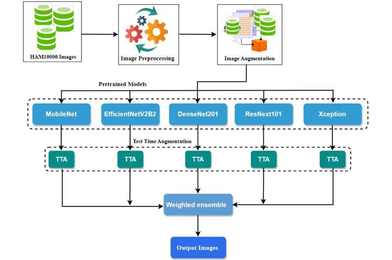 AI's new move: transforming skin cancer identification