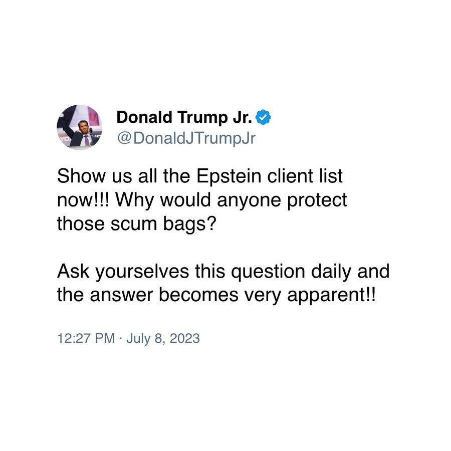 @DonaldJTrumpJr: Show us all the Epstein client list now!!! Why would anyone protect those scum bags? Ask yourselves this question daily and the answer becomes very apparent!!
