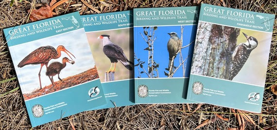 Great Florida Birding and Wildlife Trail guidebooks. The covers show Limpkins, a Crested Caracara, a Florida Scrub Jay and a Red-cockaded Woodpecker