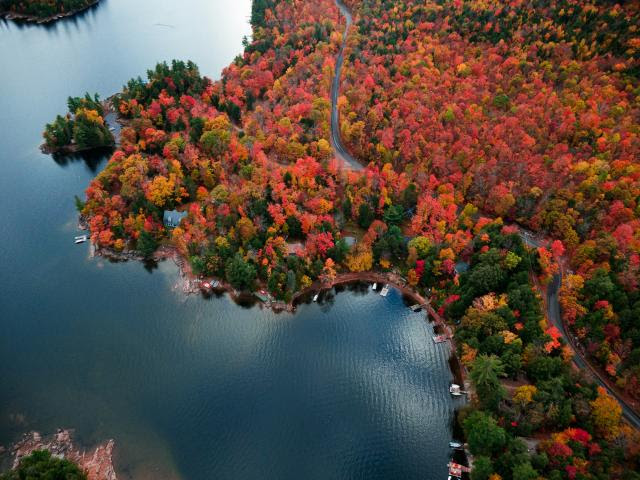 Fall trees surrounded by a lake from a birds eye view