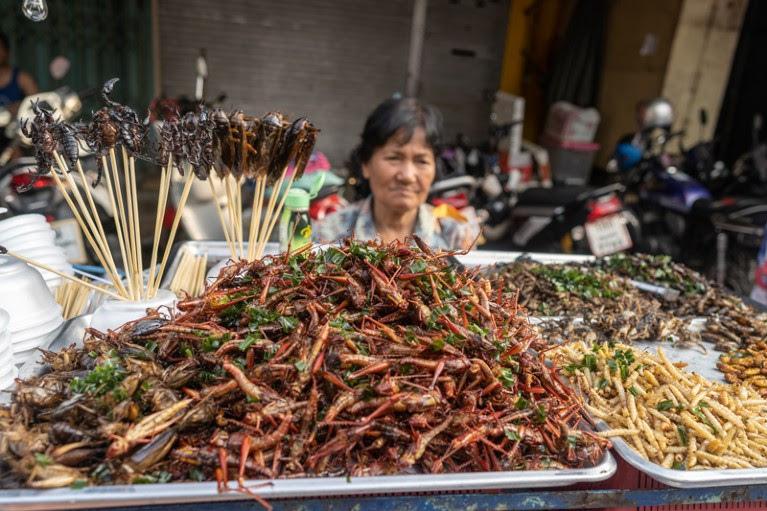 A woman selling insects on a food market stall in Thailand