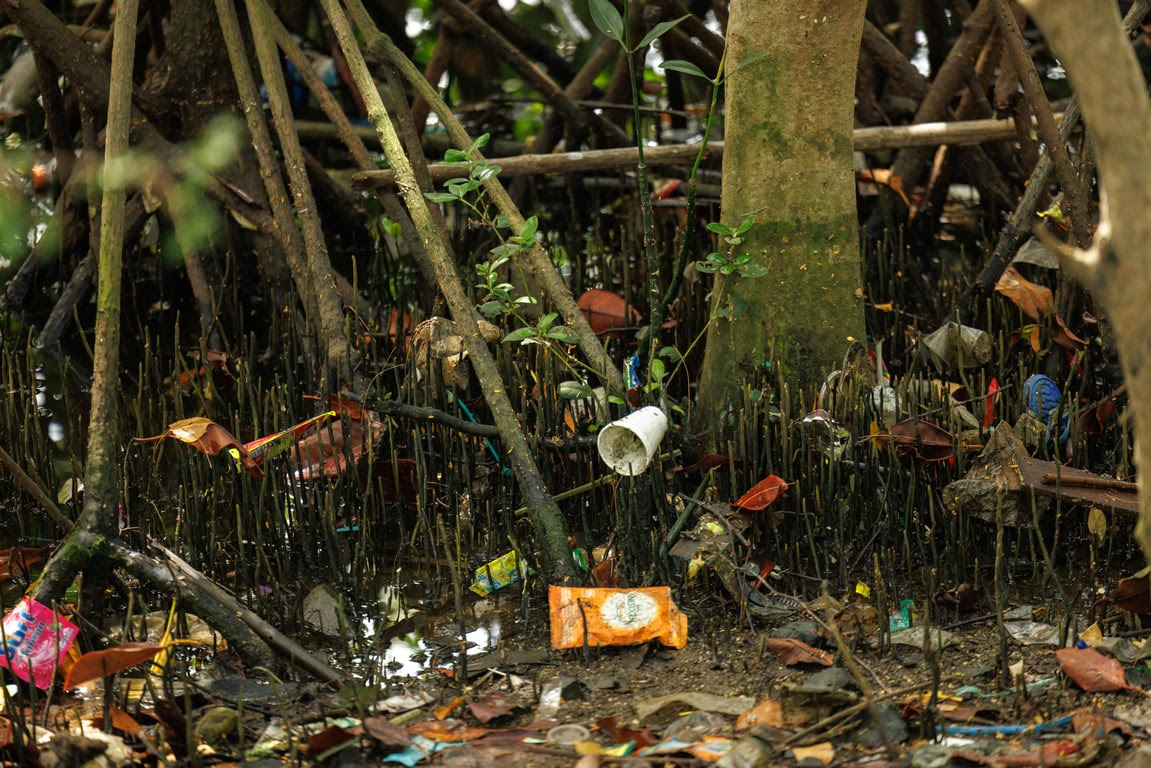 Single-use plastics are seen littering the mangroves of the Las Piñas-Parañaque Wetland Park. (Jilson Tiu/Greenpeace)