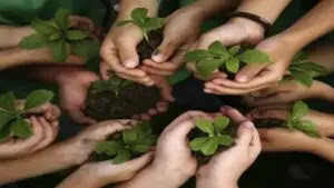 educacion ecologia