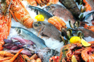 Array of seafood on ice display