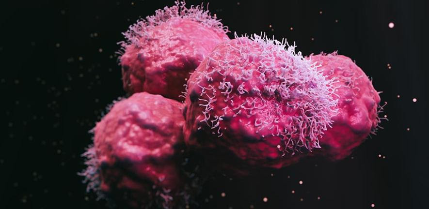 Close-up of cancer cells