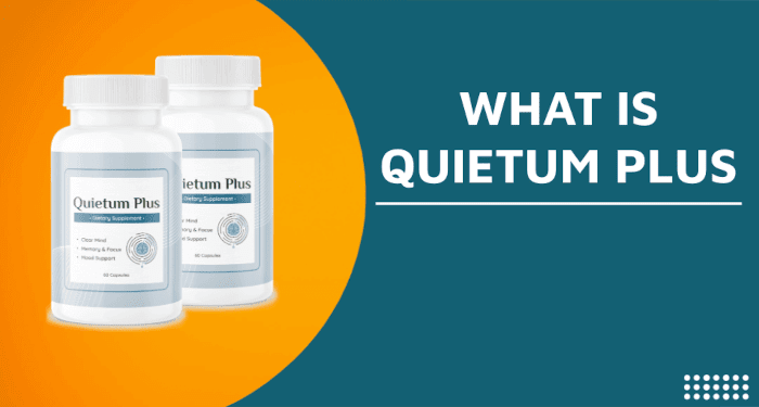 What is Quietum Plus