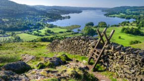 UK fleshes out anti-deforestation laws for supply chains, publishes domestic nature conservation plans