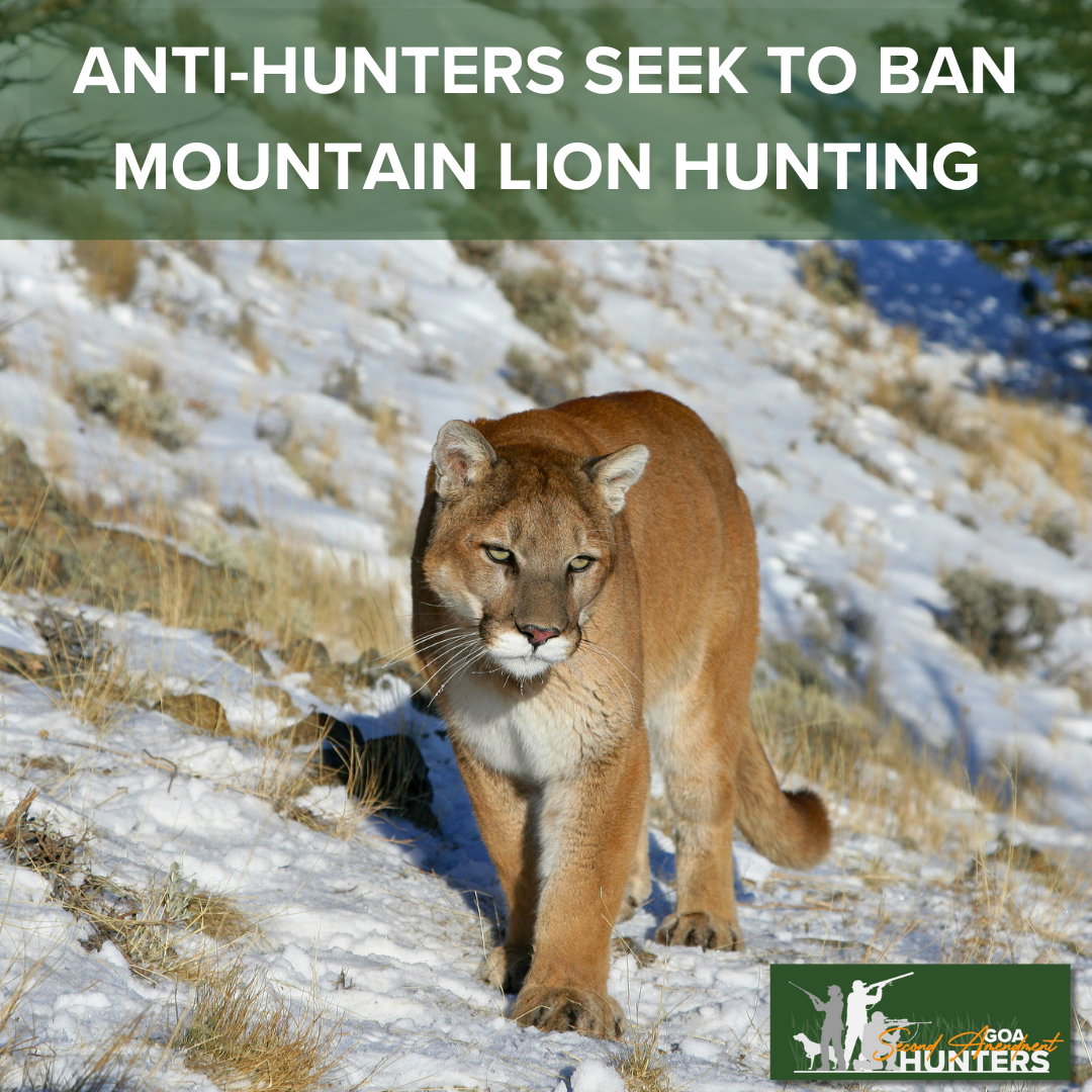 SAH%20National%20Alert%20%20Anti-hunters%20seek%20to%20ban%20mountain%20lion%20hunting.png