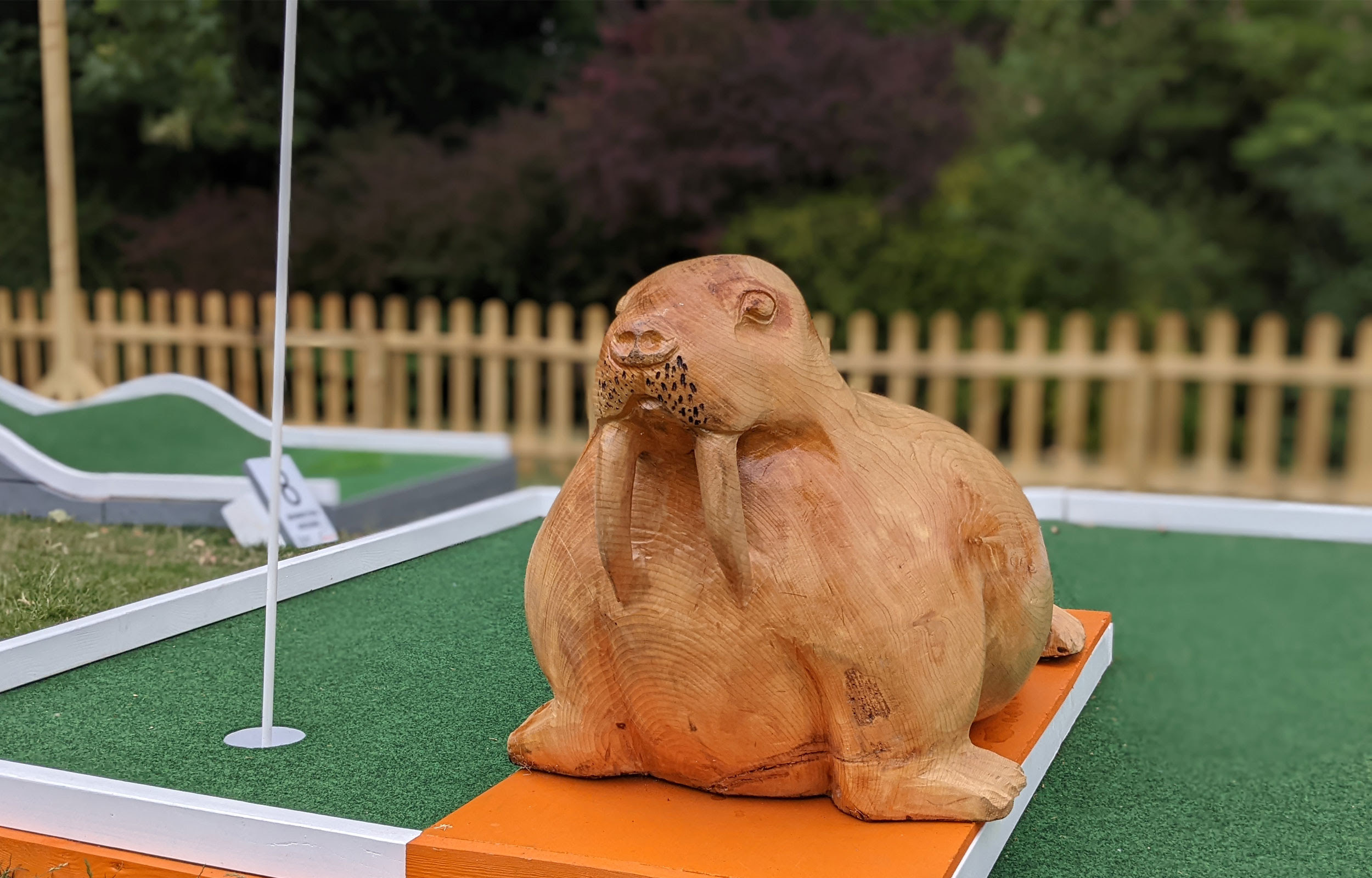 A wooden walrus on one of the holes on the mini golf course 
