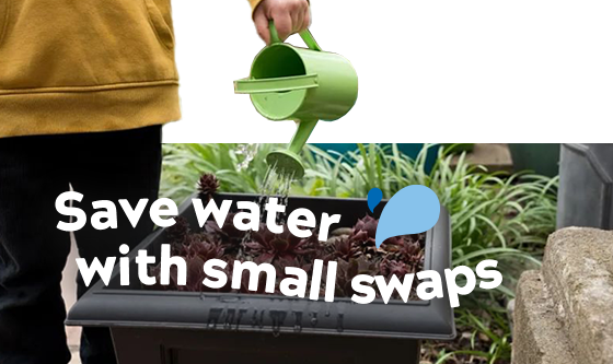 A plant trough being watered with a green watering can